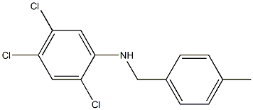 2,4,5-trichloro-N-[(4-methylphenyl)methyl]aniline 结构式
