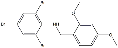 2,4,6-tribromo-N-[(2,4-dimethoxyphenyl)methyl]aniline 结构式