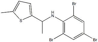 2,4,6-tribromo-N-[1-(5-methylthiophen-2-yl)ethyl]aniline 结构式