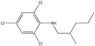 2,4,6-trichloro-N-(2-methylpentyl)aniline 结构式