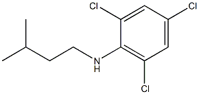 2,4,6-trichloro-N-(3-methylbutyl)aniline 结构式