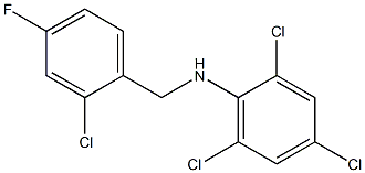 2,4,6-trichloro-N-[(2-chloro-4-fluorophenyl)methyl]aniline 结构式