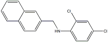 2,4-dichloro-N-(naphthalen-2-ylmethyl)aniline 结构式