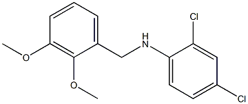 2,4-dichloro-N-[(2,3-dimethoxyphenyl)methyl]aniline 结构式