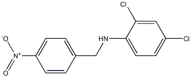 2,4-dichloro-N-[(4-nitrophenyl)methyl]aniline 结构式