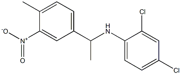 2,4-dichloro-N-[1-(4-methyl-3-nitrophenyl)ethyl]aniline 结构式