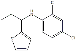 2,4-dichloro-N-[1-(thiophen-2-yl)propyl]aniline 结构式