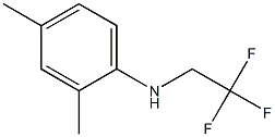 2,4-dimethyl-N-(2,2,2-trifluoroethyl)aniline 结构式