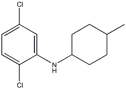 2,5-dichloro-N-(4-methylcyclohexyl)aniline 结构式
