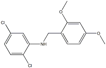 2,5-dichloro-N-[(2,4-dimethoxyphenyl)methyl]aniline 结构式