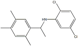 2,5-dichloro-N-[1-(2,4,5-trimethylphenyl)ethyl]aniline 结构式