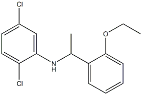 2,5-dichloro-N-[1-(2-ethoxyphenyl)ethyl]aniline 结构式