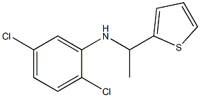 2,5-dichloro-N-[1-(thiophen-2-yl)ethyl]aniline 结构式