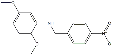 2,5-dimethoxy-N-[(4-nitrophenyl)methyl]aniline 结构式