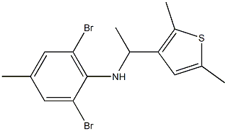 2,6-dibromo-N-[1-(2,5-dimethylthiophen-3-yl)ethyl]-4-methylaniline 结构式