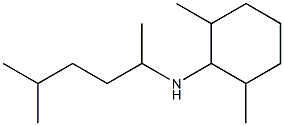 2,6-dimethyl-N-(5-methylhexan-2-yl)cyclohexan-1-amine 结构式