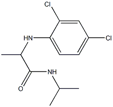 2-[(2,4-dichlorophenyl)amino]-N-(propan-2-yl)propanamide 结构式