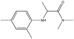 2-[(2,4-dimethylphenyl)amino]-N,N-dimethylpropanamide 结构式