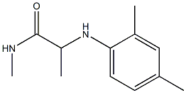 2-[(2,4-dimethylphenyl)amino]-N-methylpropanamide 结构式