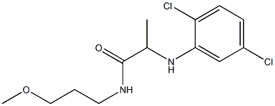 2-[(2,5-dichlorophenyl)amino]-N-(3-methoxypropyl)propanamide 结构式