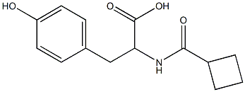 2-[(cyclobutylcarbonyl)amino]-3-(4-hydroxyphenyl)propanoic acid 结构式