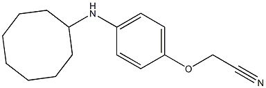 2-[4-(cyclooctylamino)phenoxy]acetonitrile 结构式