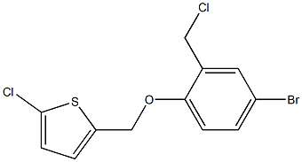2-[4-bromo-2-(chloromethyl)phenoxymethyl]-5-chlorothiophene 结构式