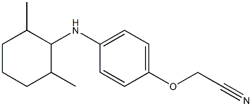 2-{4-[(2,6-dimethylcyclohexyl)amino]phenoxy}acetonitrile 结构式