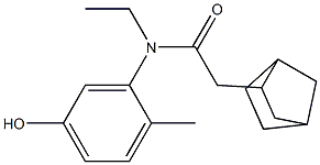 2-{bicyclo[2.2.1]heptan-2-yl}-N-ethyl-N-(5-hydroxy-2-methylphenyl)acetamide 结构式