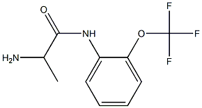 2-amino-N-[2-(trifluoromethoxy)phenyl]propanamide 结构式