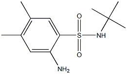 2-amino-N-tert-butyl-4,5-dimethylbenzene-1-sulfonamide 结构式