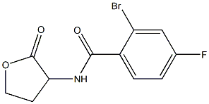 2-bromo-4-fluoro-N-(2-oxooxolan-3-yl)benzamide 结构式