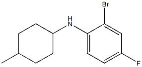 2-bromo-4-fluoro-N-(4-methylcyclohexyl)aniline 结构式