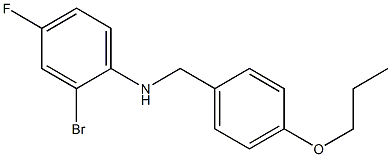 2-bromo-4-fluoro-N-[(4-propoxyphenyl)methyl]aniline 结构式
