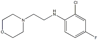 2-chloro-4-fluoro-N-[2-(morpholin-4-yl)ethyl]aniline 结构式