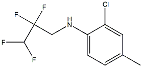 2-chloro-4-methyl-N-(2,2,3,3-tetrafluoropropyl)aniline 结构式