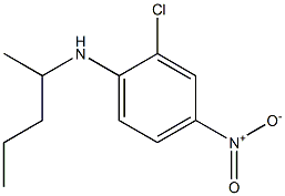 2-chloro-4-nitro-N-(pentan-2-yl)aniline 结构式