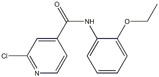 2-chloro-N-(2-ethoxyphenyl)pyridine-4-carboxamide 结构式