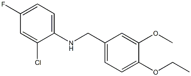 2-chloro-N-[(4-ethoxy-3-methoxyphenyl)methyl]-4-fluoroaniline 结构式