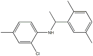 2-chloro-N-[1-(2,5-dimethylphenyl)ethyl]-4-methylaniline 结构式