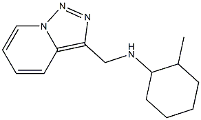 2-methyl-N-{[1,2,4]triazolo[3,4-a]pyridin-3-ylmethyl}cyclohexan-1-amine 结构式