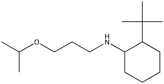 2-tert-butyl-N-[3-(propan-2-yloxy)propyl]cyclohexan-1-amine 结构式