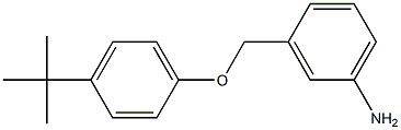 3-(4-tert-butylphenoxymethyl)aniline 结构式