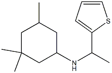 3,3,5-trimethyl-N-[1-(thiophen-2-yl)ethyl]cyclohexan-1-amine 结构式