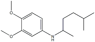 3,4-dimethoxy-N-(5-methylhexan-2-yl)aniline 结构式