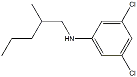 3,5-dichloro-N-(2-methylpentyl)aniline 结构式