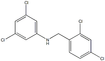 3,5-dichloro-N-[(2,4-dichlorophenyl)methyl]aniline 结构式