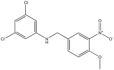 3,5-dichloro-N-[(4-methoxy-3-nitrophenyl)methyl]aniline 结构式