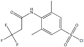 3,5-dimethyl-4-(3,3,3-trifluoropropanamido)benzene-1-sulfonyl chloride 结构式