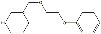 3-[(2-phenoxyethoxy)methyl]piperidine 结构式